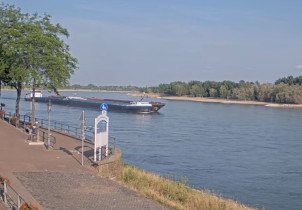 Imagen de vista previa de la cámara web Rhine River - Promenade Rees